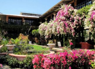 Vallarta Botanical Garden is the #4 favorite in USA Today poll