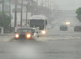 Did you see all that rain?! puerto vallarta flood