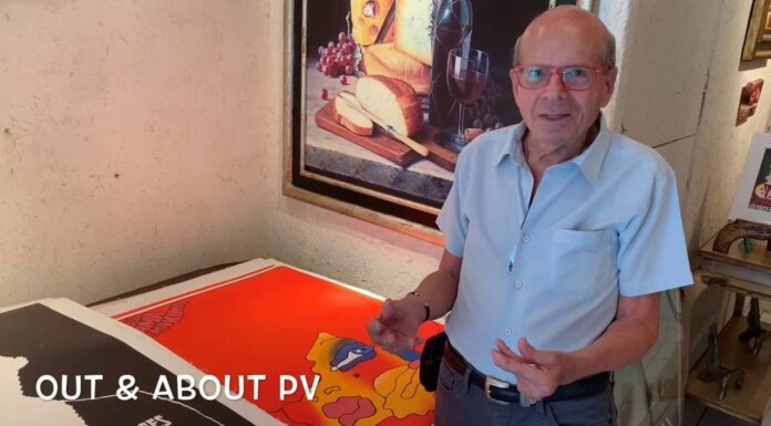 VIDEO: The Rosenberg Collection at PV Art Gallery