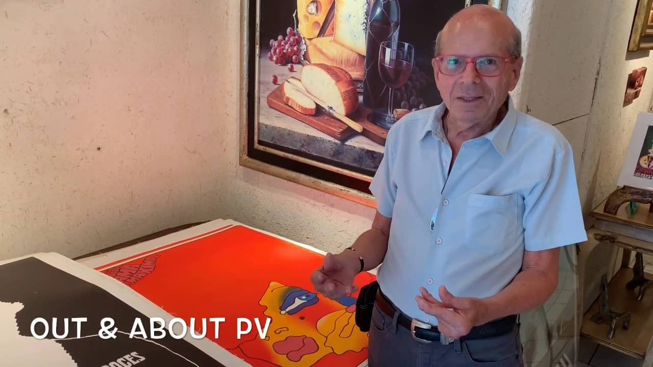 VIDEO: The Rosenberg Collection at PV Art Gallery