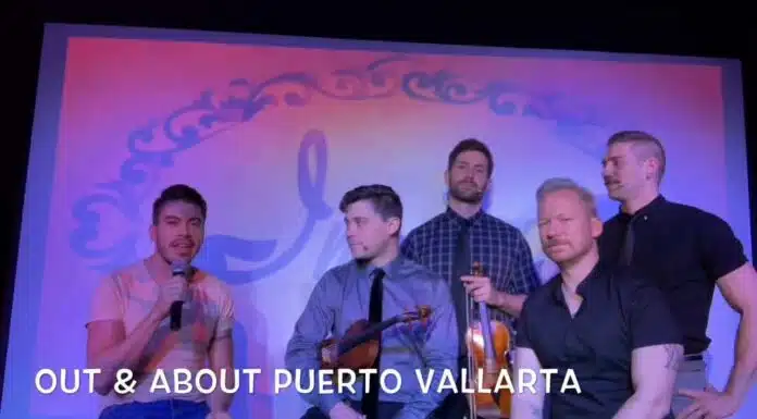 Well-Strung, the singing string quartet INTERVIEW