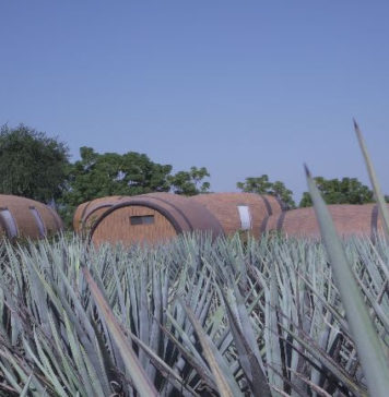 Tequila Lover? Here are Five Cities You Must Visit in Jalisco, Mexico tequila barrels