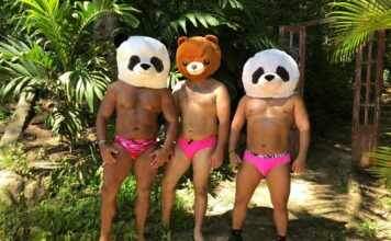 International Bear Festival Set in Puerto Vallarta for Feb. 1 to 5, 2023