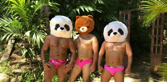 International Bear Festival Set in Puerto Vallarta for Feb. 1 to 5, 2023