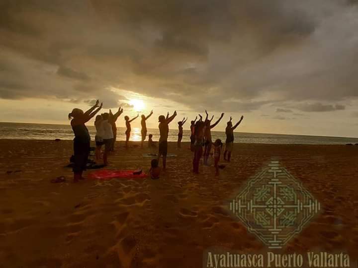 Photos courtesy of Víctor Fuentes Chong, Ayahuasca Puerto Vallarta.