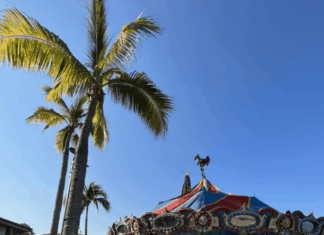 Christmas Magic Wraps Malecon with Great Exhibition Free activities include ice rink, giant Christmas tree, carousel and train