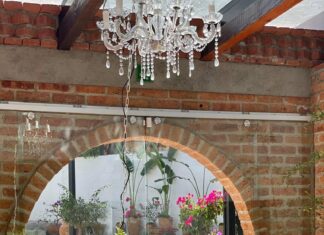 Bonito Kitchen to reopen its doors in Zona Romantica