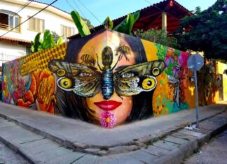 Street Art Walk Mural Festival Captures Murals in the Making Mural
