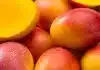 Mango Festival in Parque Lazaro Cardenas Held Sat. July 2