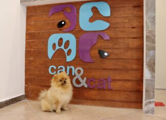Can&Cat Opens Second Location in Zona Romantica shanty in front of sign