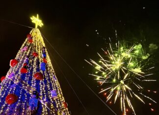 Vallarta Lights Christmas Tree on Malecon, Celebrations Begin Puerto Vallarta Christmas tree lighting 2022