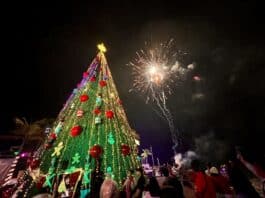 Los Muertos Pier Tree Lighting Kicks Off ‘Sea of Gifts’ Holiday Celebration christmas tree fireworks 3