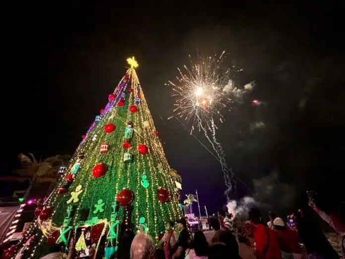 Los Muertos Pier Tree Lighting Kicks Off ‘Sea of Gifts’ Holiday Celebration christmas tree fireworks 3