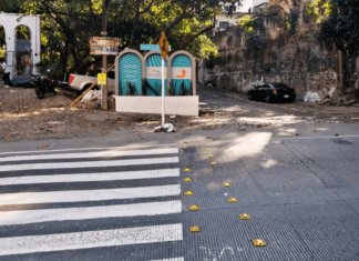 Casa Cupula Installs Crosswalk on Busy Highway 200 Casa Cupula Crosswalk at the Entrance to our Callejón de la Igualdad steet.