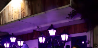 ELLA Mexico Celebrates Lesbian Pride at Elixir