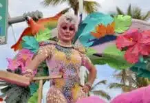 5 Reasons to Experience Puerto Vallarta Pride Vallarta Pride Parade 2023