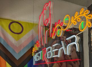 MISTRBEAR & CO Expands to Puerto Vallarta, Offering Clothing, Art and More