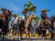 From the 2022 Charro Day Celebration. Photo courtesy of the Vallarta Institute of Culture .