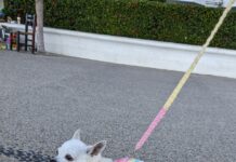 Take A Moment to Create and Celebrate: Out and About in Vallarta lila out and about