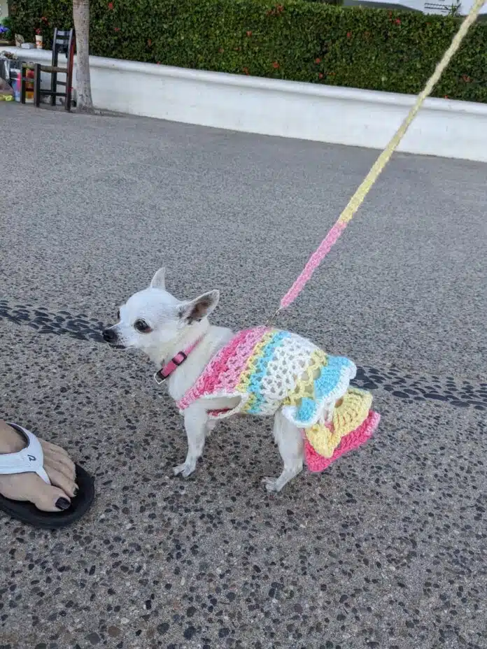 Take A Moment to Create and Celebrate: Out and About in Vallarta lila out and about