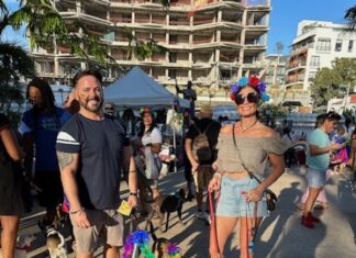 Vallarta Pride Pet Parade Sunset Dog Walk Returns for its 2nd Annual Event pet parade