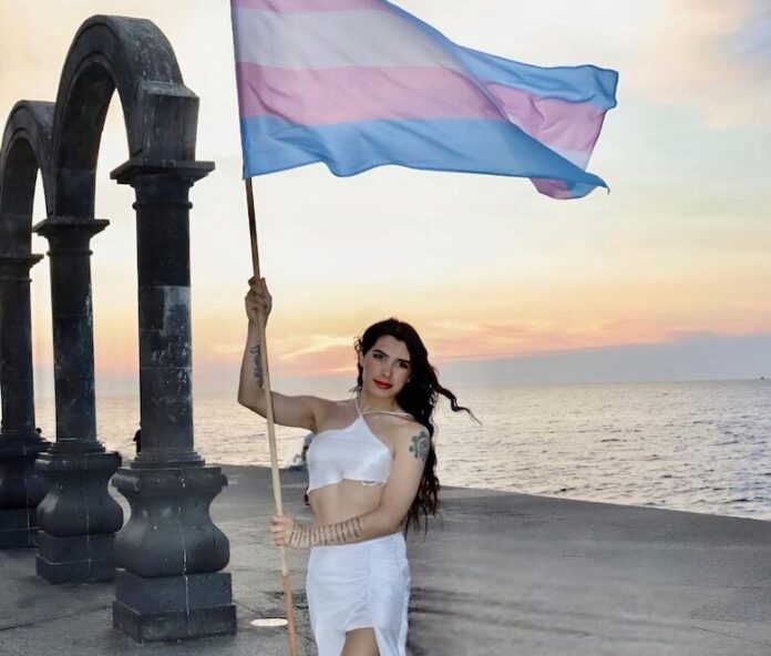trans day flag