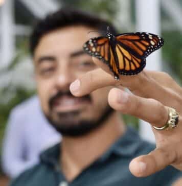 Butterflies, Music and More as Maripoza’s Interactive Exhibit Opens Oscar Soto shares the details on Mariposa's Butterfly Experience, a new interactive exhibit at Puerto Magico. Photo by Oscar Almeida.