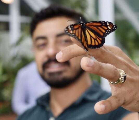 Butterflies, Music and More as Maripoza’s Interactive Exhibit Opens Oscar Soto shares the details on Mariposa's Butterfly Experience, a new interactive exhibit at Puerto Magico. Photo by Oscar Almeida.