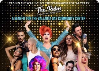 Vallarta Stars Shine For Gay+ Community Center The Vallarta Stars Benefit Concert happens on Saturday, June 1,and it's an opportunity to support the new Vallarta Gay+ Community Center.