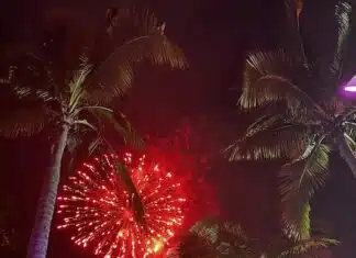 2024 Independence Day
