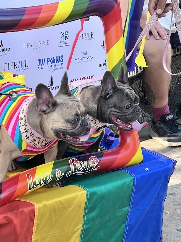 Jerry pet pride parade