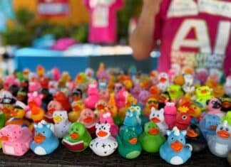 Guests will select floating rubber ducks from the pool, each marked with a number on the bottom. That number corresponds to a prize. Ducks can be purchased for 100 pesos each, giving every participant a chance to win something. Photo provided.