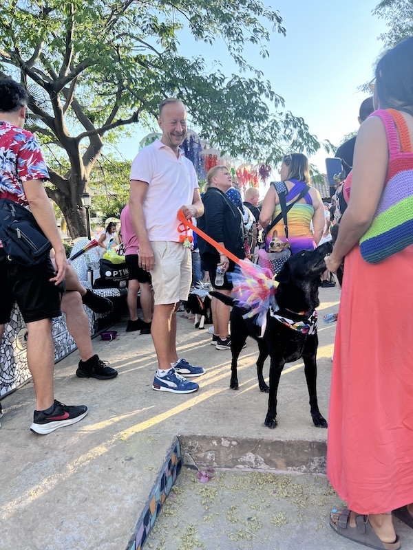 Jerry pet pride parade