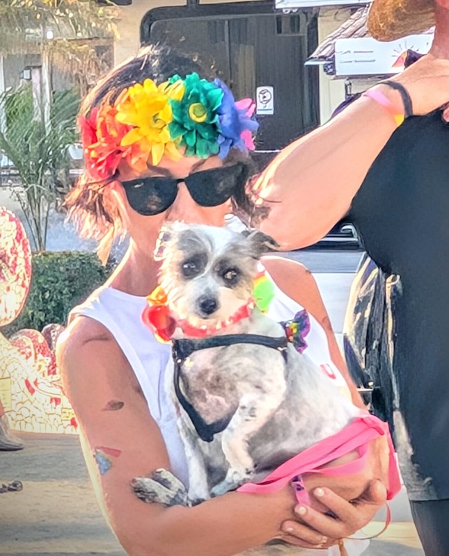 pet pride parade