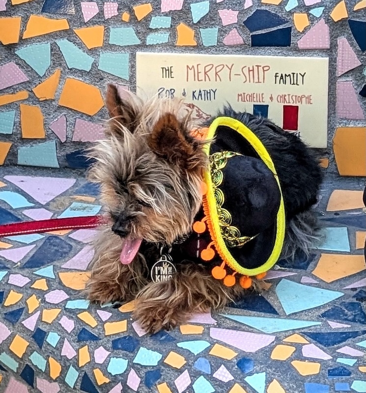 pet pride parade