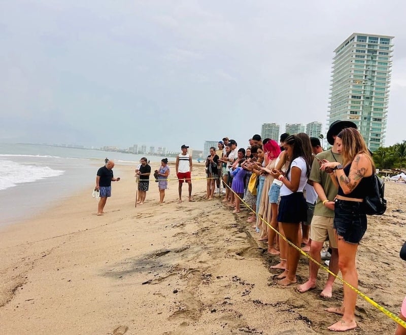 holi beach turtle release
