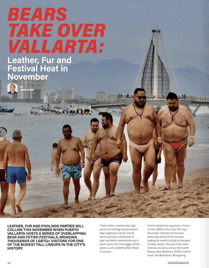 bears vallarta 3
