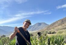 Raicilla Road: Sipping Mexico’s ‘New’ Spirit in the Magic Towns of Jalisco Roman - Agave