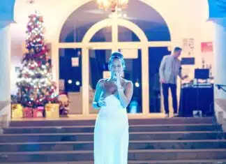 Glitter, Giving & Good Vibes — Join The Tropical Christmas Party Singer - Christmas Party 2024