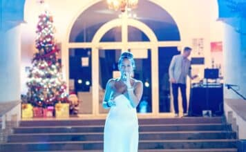 Glitter, Giving & Good Vibes — Join The Tropical Christmas Party Singer - Christmas Party 2024