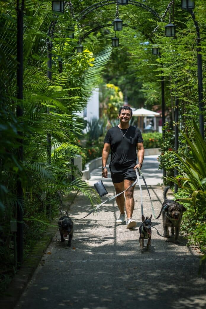 poncho davalos with dogs