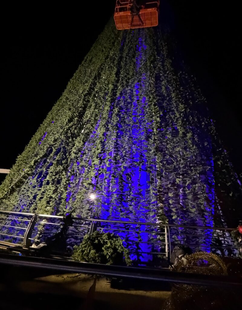 Pier, Christmas tree