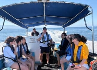 Photos: Whale Watching with Ocean Friendly Tours ocean friendly tours