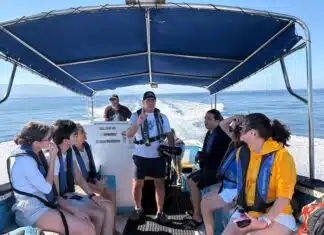 Photos: Whale Watching with Ocean Friendly Tours ocean friendly tours