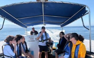 Photos: Whale Watching with Ocean Friendly Tours ocean friendly tours