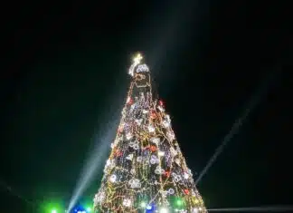 Mexico’s Tallest Christmas Tree Lit at Los Muertos Pier christmas tree los muertos