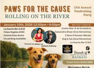 Friends of Puerto Vallarta Animals Plan Riverfront Fundraiser for Shelter Pets paws for cause