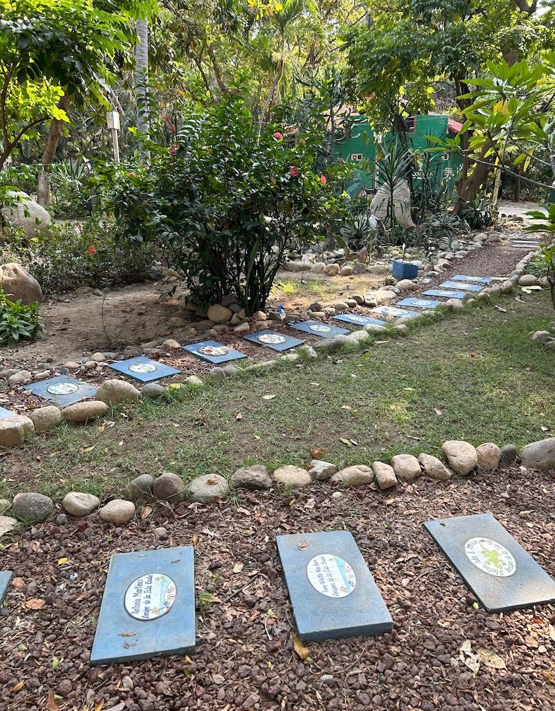 stepping stones vallarta garden club