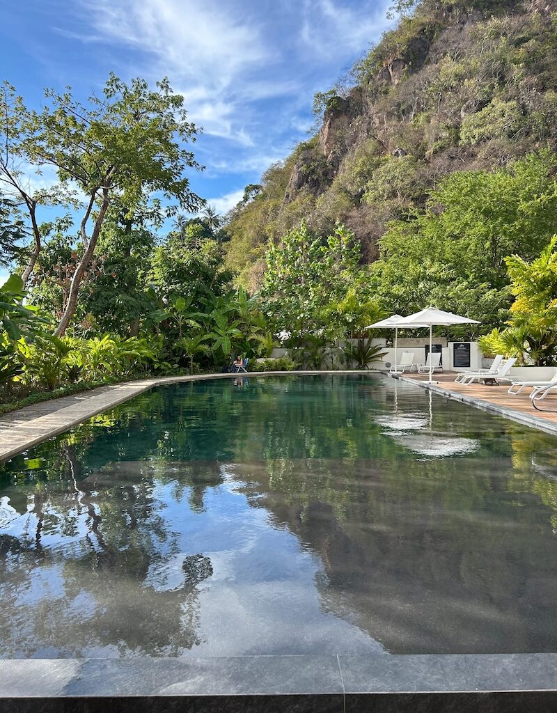 progressive open house oasis