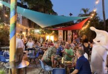 Photos: Arte Vallarta First Saturday in January 2026 arte vallarta FS 2